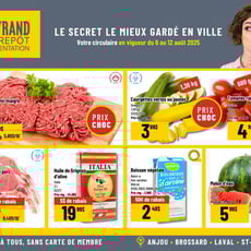  Mayrand