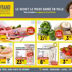  Mayrand