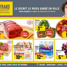  Mayrand