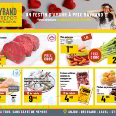  Mayrand