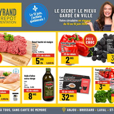  Mayrand