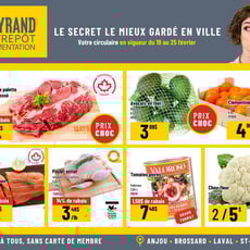  Mayrand