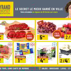  Mayrand