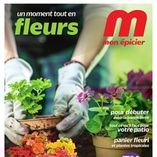  Metro - Fleurs