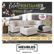  Meubles Mont-Laurier