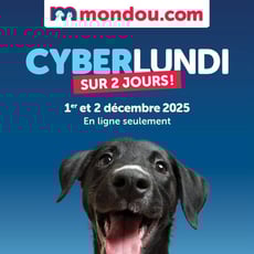 Mondou - Cyberlundi
