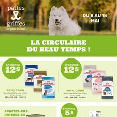  Pattes Et Griffes