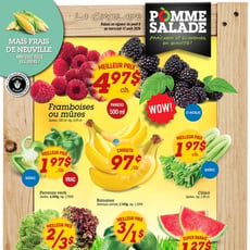  Pomme Salade