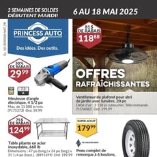  Princess Auto
