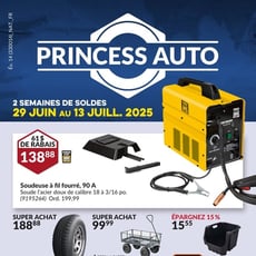  Princess Auto
