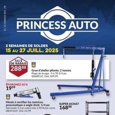  Princess Auto