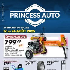  Princess Auto