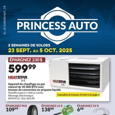  Princess Auto