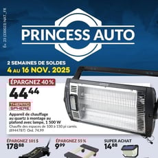  Princess Auto