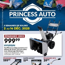  Princess Auto