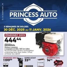 Princess Auto