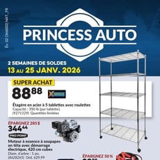  Princess Auto