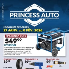  Princess Auto