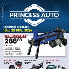  Princess Auto