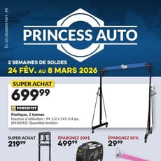 Princess Auto