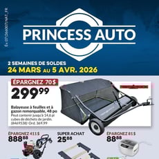  Princess Auto