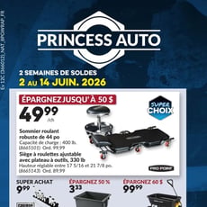  Princess Auto