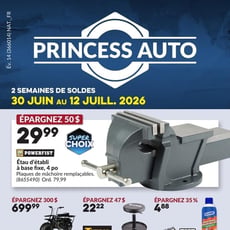  Princess Auto