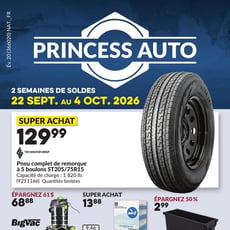  Princess Auto