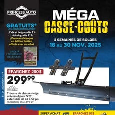  Princess Auto - Méga Casse-coûts