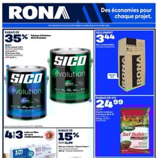  Rona
