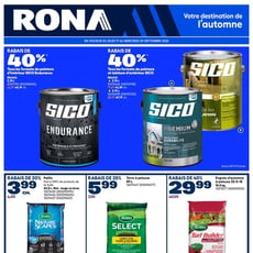  Rona