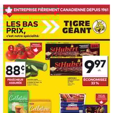  Tigre Géant