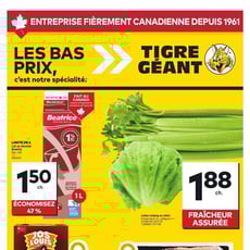  Tigre Géant