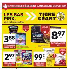  Tigre Géant