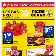  Tigre Géant