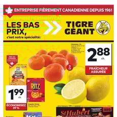  Tigre Géant