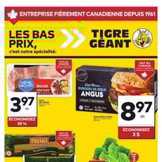  Tigre Géant