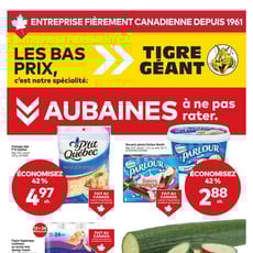  Tigre Géant