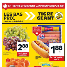  Tigre Géant
