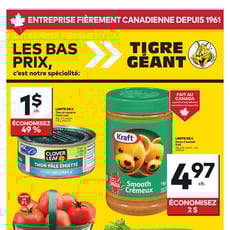  Tigre Géant