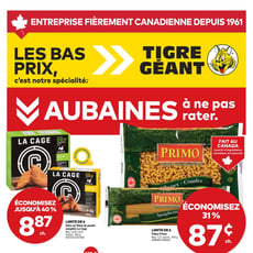  Tigre Géant