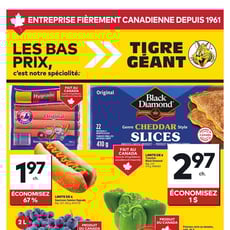  Tigre Géant