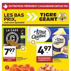  Tigre Géant