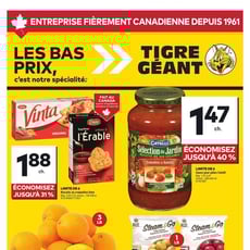  Tigre Géant