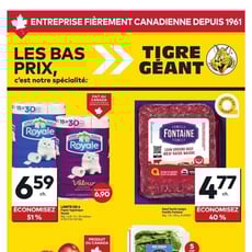  Tigre Géant