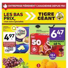  Tigre Géant