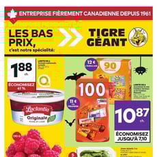  Tigre Géant