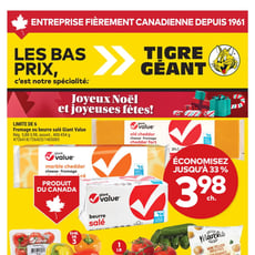  Tigre Géant