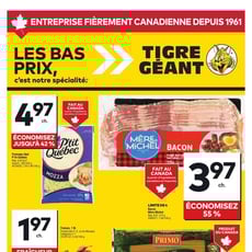  Tigre Géant
