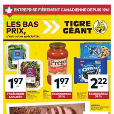  Tigre Géant